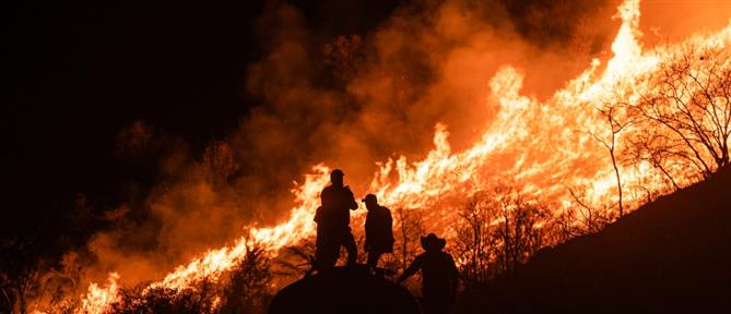 Βοιωτία: Συνελήφθη 73χρονος για εμπρησμό - Είχε βάλει δύο φωτιές