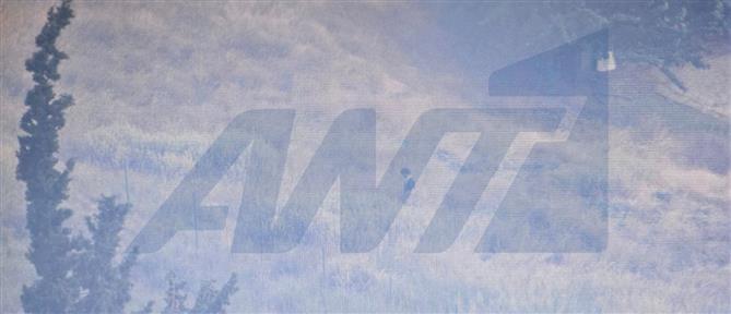 Φωτιά στην Αχαΐα: Φωτογραφίες – ντοκουμένο από τον 25χρονο που συνελήφθη για εμπρησμό