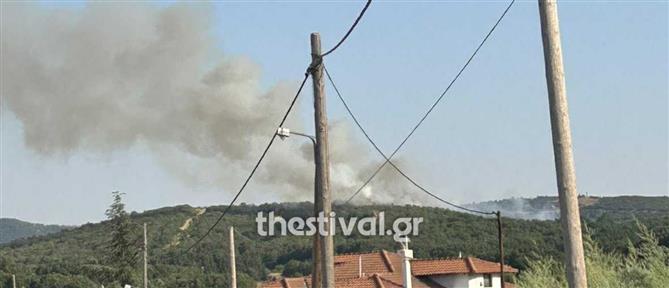 Θεσσαλονίκη: Φωτιά στο δάσος του Φιλύρου – Σηκώθηκαν επτά εναέρια μέσα (εικόνες)