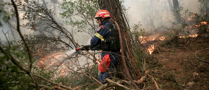 Φωτιές: Συλλήψεις για τις πυρκαγιές στους δήμους Ωραιοκάστρου και Πυλαίας - Χορτιάτη