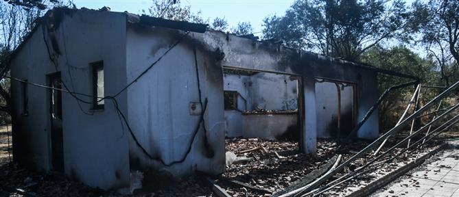 Πυρκαγιές - Μαρινάκης: Οι απαντήσεις της κυβέρνησης στην αντιπολίτευση