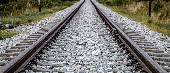 Hellenic Train: Aμαξοστοιχία παρέσυσε κοπάδι ζώων που εισήλθε στην σιδηροδρομική γραμμή