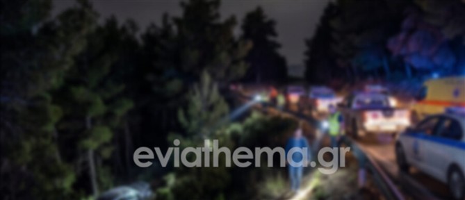 Εύβοια: Αυτοκίνητο κατέληξε σε χαράδρα στο Πανόραμα - Απεγκλωβίστηκε με τις αισθήσεις του ο οδηγός (εικόνες)