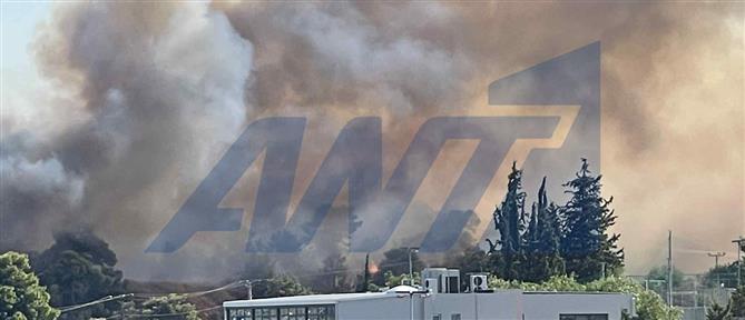 Φωτιά στην Παιανία – Μεγάλη κινητοποίηση της Πυροσβεστικής - Μήνυμα του 112 για ετοιμότητα (εικόνες)