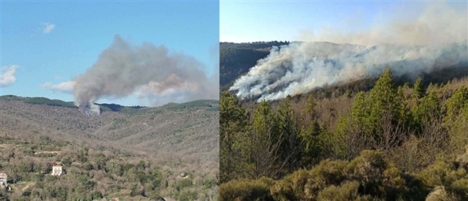 Λακωνία: Μεγάλη φωτιά σε δασική έκταση στις Καρυές (εικόνες)