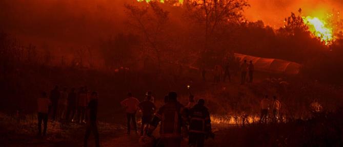 Τουρκία: Τέσσερις μεγάλες πυρκαγιές σε εξέλιξη