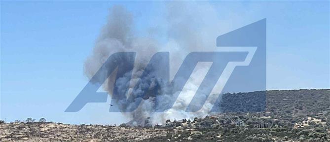 Κορωπί: Φωτιά ξέσπασε σε χαμηλή βλάστηση