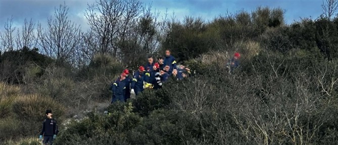 Θεσσαλονίκη: Επιχείρηση διάσωσης 22χρονου που έπεσε σε χαράδρα στο δάσος Κουρί