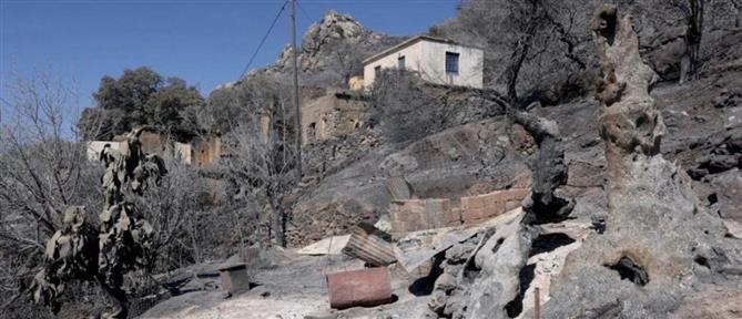 Πυρκαγιά στα Τεμένια Χανίων: Σύλληψη επιχειρηματία για εμπρησμό από αμέλεια