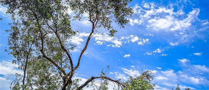 Τι καιρό θα κάνει την Κυριακή