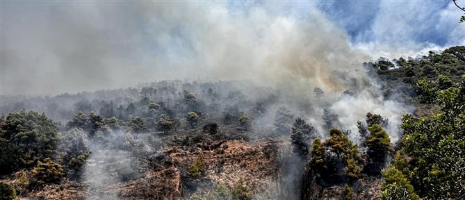 Φωτιές - Κατσαφάδος: Ταχύτατη η καταγραφή των ζημιών - Πριν το τέλος Αυγούστου η καταβολή αποζημιώσεων