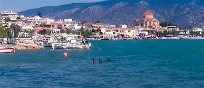 Αργολίδα: Θρίλερ με σορό που εντοπίστηκε - Εγκληματική ενέργεια ερευνούν οι αρχές