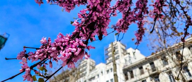 Τι καιρό θα κάνει τη Δευτέρα του Πάσχα