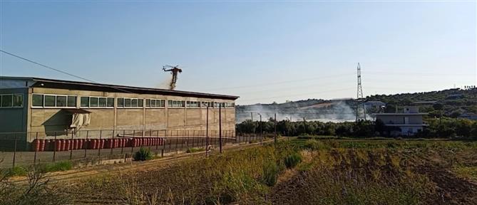 Αγρίνιο: Φωτιά σε γεωργική έκταση - Σηκώθηκαν εναέρια μέσα