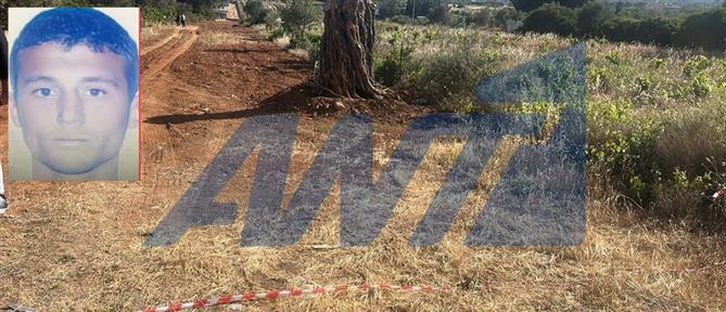 Ραφήνα: Άνδρας εντοπίστηκε νεκρός σε αμπελώνα