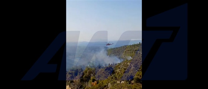 Χωρίς ενεργό μέτωπο η φωτιά στο Μαρκόπουλο Ωρωπού (βίντεο)