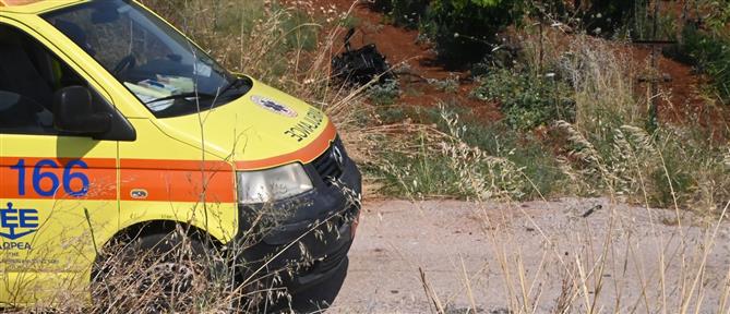 Τραγωδία στη Λάρισα: 58χρονος καταπλακώθηκε από δέντρο που έκοβε