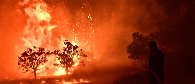Φωτιά στον Ωρωπό: Ανεξέλεγκτες οι φλόγες πλησιάζουν σπίτια - Ολονύχτια μάχη για τις πυροσβεστικές δυνάμεις (εικόνες)