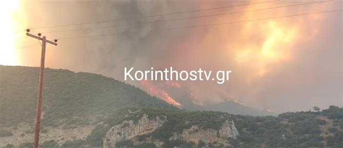 Ανεξέλεγκτη η φωτιά στον Φενεό: Ενισχύονται οι πυροσβεστικές δυνάμεις και μηνύματα 112 (εικόνες)