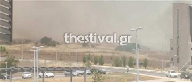 Κοζάνη: Φωτιά κοντά στην Πανεπιστημιούπολη - Μήνυμα 112 και εκκένωση του Πανεπιστημίου
