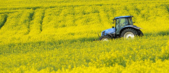 ΟΠΕΚΕΠΕ: Ελεύθεροι ο λογιστής και ο πατέρας του φερόμενου ως αρχηγού του κυκλώματος