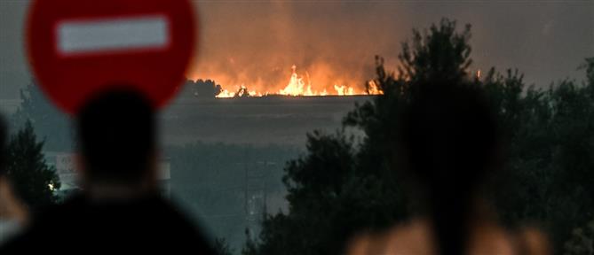 Φωτιά Αχαΐα: Εντολή εκκένωσης στους κατοίκους - Πού υπάρχουν κυκλοφοριακές ρυθμίσεις