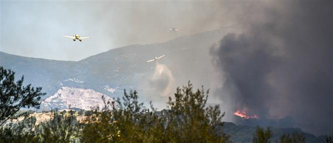 Φωτιά στον Μελιγαλά Μεσσηνίας, κοντά σε σπίτια
