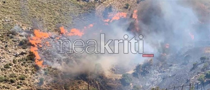 Μελιδοχώρι Ηρακλείου: Ενισχύονται οι πυροσβεστικές δυνάμεις, 8 εναέρια μέσα, ισχυροί άνεμοι στην περιοχή