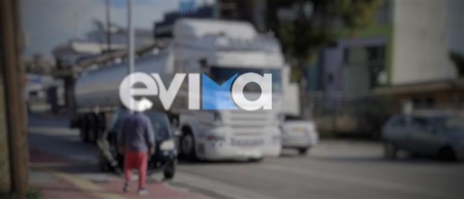 Εύβοια: Οδηγός τσιμπήθηκε από σφήκα και καρφώθηκε σε κολώνα με το ΙΧ του