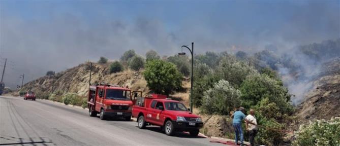 Πυρκαγιά στη Χίο: Μηνύματα 112 για εκκένωση οικισμών (εικόνες)