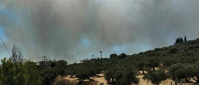 Πυρκαγιά – Αχαΐα : Φλόγες απειλούν σπίτια