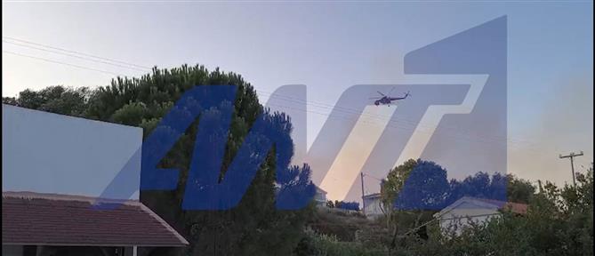Φωτιά στην Κάρυστο: Εκκενώθηκε ξενοδοχείο – Μήνυμα 112 στους κατοίκους