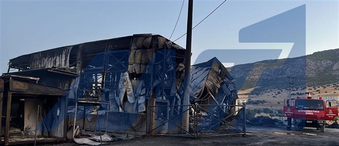 Μέγαρα: Υπό μερικό έλεγχο η πυρκαγιά σε εργοστάσιο πλαστικών (βίντεο)