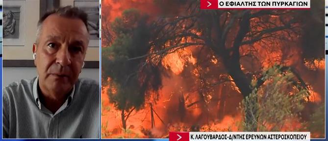 Λαγουβάρδος στον ΑΝΤ1: Πρέπει να μάθουμε από τα λάθη μας στην αντιμετώπιση των πυρκαγιών