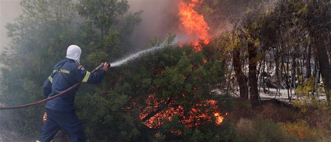 Πέλλα: Φωτιά σε έκταση του δήμου Σκύδρας