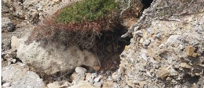 Συναγερμός στα Χανιά: Νεκρός εντοπίστηκε άνδρας σε σπηλιά