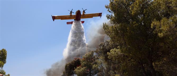 Αρκαδία: Ξέσπασε πυρκαγιά σε δασική έκταση