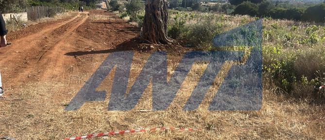 Ραφήνα: Άνδρας εντοπίστηκε νεκρός σε αμπελώνα