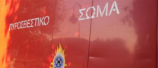 Σε ύφεση η φωτιά στο Ριόλο Αχαΐας - Χωρίς ενεργό μέτωπο η φωτιά στο Φίχτι Αργολίδας

