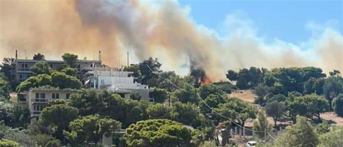 Φωτιά στο Λαύριο: Εκκενώνεται το Θορικό – Νέο μήνυμα του 112