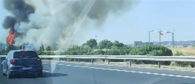 Κορωπί: Φωτιά στον παράδρομο της Αττικής Οδού