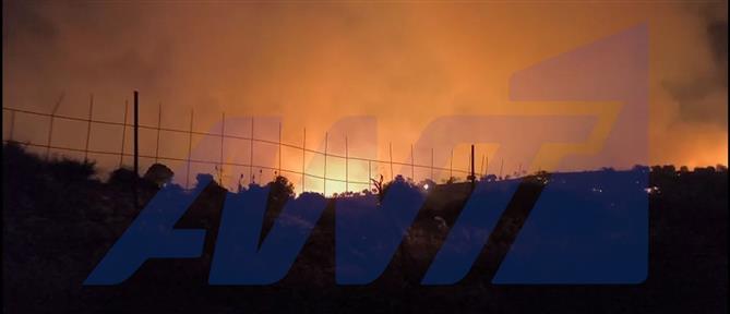 Εύβοια: Πρόστιμο άνω των 8.000 ευρώ στον 52χρονο που συνελήφθη για την πυρκαγιά